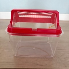 【美品】虫かご　いきものかんさつケースの画像