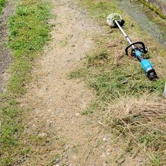 関西学院キャンパス内で、 自然環境を整える除草・清掃作業のお仕事 基本的には3時間程度で作業完了することが 多く、午後はゆっくり過ごせます♪の画像