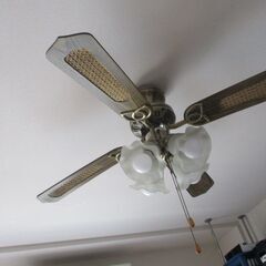 シーリングファン　V-4WO4SHの画像