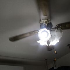 シーリングファン　V-4WO4SHの画像