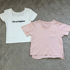 レディースTシャツ2枚セット