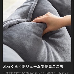 LOWYA ソファー　リクライニング可能
の画像