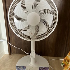DCモーター 扇風機 新品