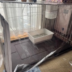 受取者決定しました@
猫用ゲージとすぐ飼えるペット生活用品一式