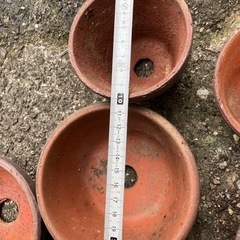 小さな植木鉢の画像