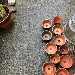 小さな植木鉢