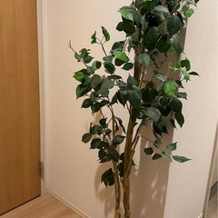ニトリ　人工観葉植物　フェイクグリーン　大きめ　