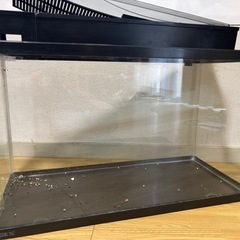 【ご相談中】
　GEX60センチ水槽　マリーナ６００ＢＫＳ