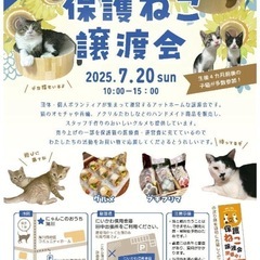 第11回猫の譲渡会