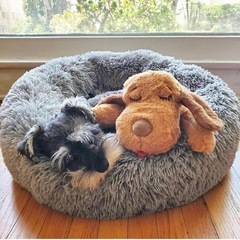 値下げしました！Smart Pet Love 子犬のぬいぐるみ 鼓動が聞こえるおもちゃの画像