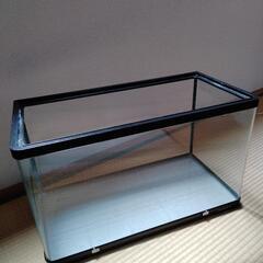 60センチ水槽　中古