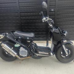 ホンダ　ズーマー　フルカスタム