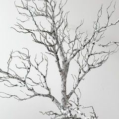 木のオブジェの画像
