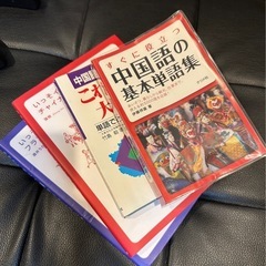 言語　1冊50円　本　中国語　フランス語