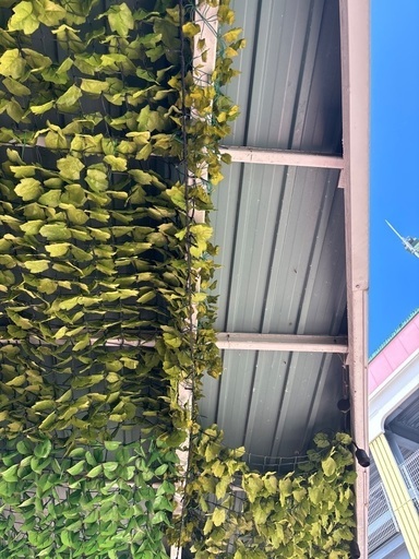 テラスの屋根