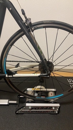 トレック　ドマーニ　TREK domane
 