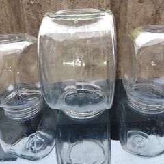 水槽メダカの孵化等に🎶の画像