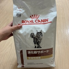 猫用ロイヤルカナン消化器サポート可溶性繊維4kg 
