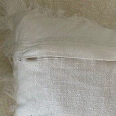(ZARAHOME)クッション2つの画像