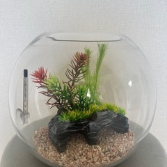 水槽 