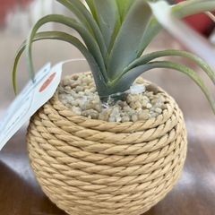 リユースのサカイ東金店 人工観葉植物 TJ12790の画像