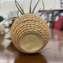 リユースのサカイ東金店 人工観葉植物 TJ12790の画像