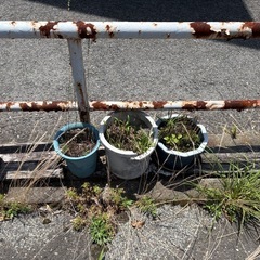 庭土　菜園土　プランター土　畑　植木土　花壇の画像