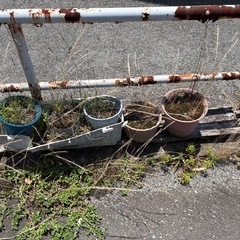 庭土　菜園土　プランター土　畑　植木土　花壇の画像