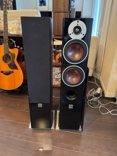 ダリ　Dali Zensor 5 フロアスタンディングスピーカー