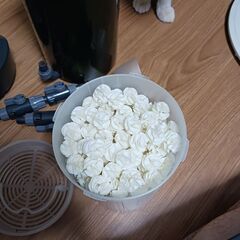 エーハイム2213の画像