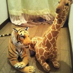 キリン　トラ　ぬいぐるみの画像