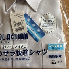 クールワイシャツの画像