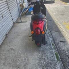 AF55 スクーピーの画像