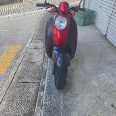 AF55 スクーピーの画像