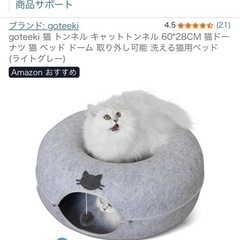猫　ドーナツドームの画像