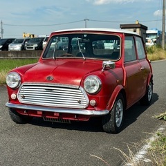 ミニ Miniの画像