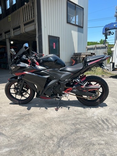 ヤマハ　YZF-R25 　250cc