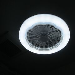 ファンライトの画像