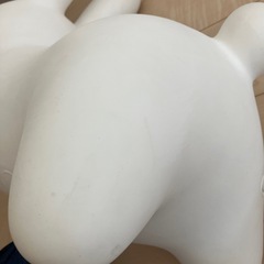 ブルーナボンボンの画像