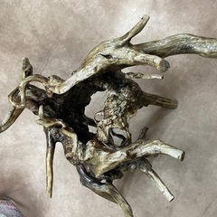 木　オブジェ　置物　根っ子　木製の画像