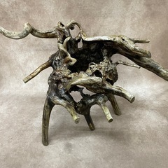 木　オブジェ　置物　根っ子　木製の画像