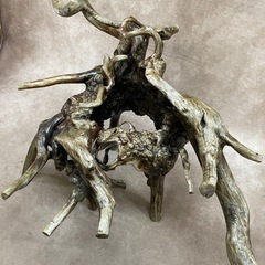 木　オブジェ　置物　根っ子　木製の画像