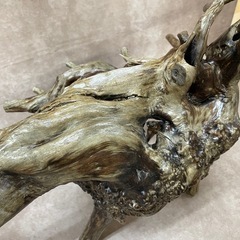 木　オブジェ　置物　根っ子　木製の画像