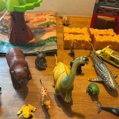 アニア　動物などの画像
