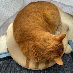 平日の昼間