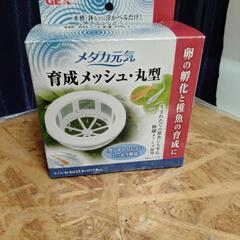 フロート　育成　メダカ　中古