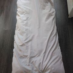 【譲渡者決定済・無料】掛け布団と布団カバー　シングルサイズ（150✕210）の画像