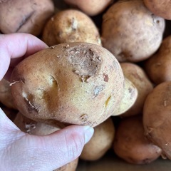 キズじゃが　5キロの画像