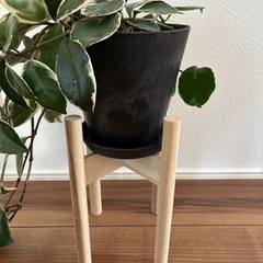 ウッドスタンド　鉢スタンド　フラワースタンド　観葉植物　スタンド　木製