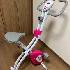 ALINCO　エアロバイク